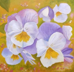 Un giardino di viole del pensiero dai colori vivaci