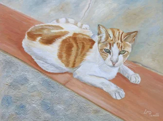 Gatto soriano arancione dall