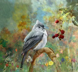 La cinciallegra del giardino stravagante