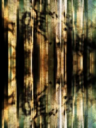 Ombre astratte della foresta