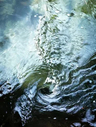 Vortice d