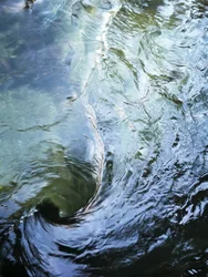 Vortice in acque profonde