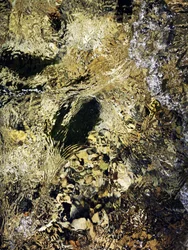 Il flusso del fiume dorato