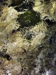 Luccichio d