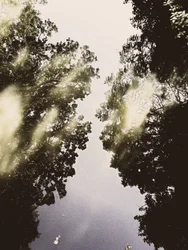 Il cielo specchiato della natura