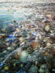 Il vivace scorrere del fiume