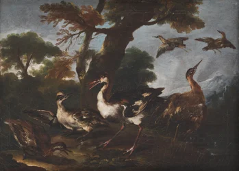 Paesaggio con uccelli