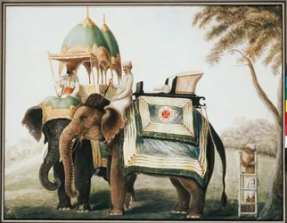 Elefanti con il loro mahout