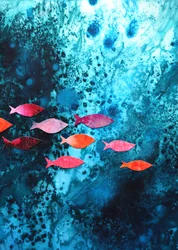Pesci marini dai colori vivaci