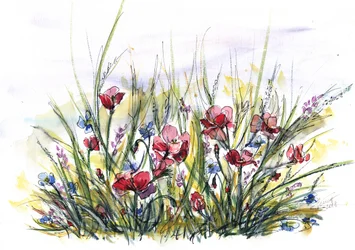 Un prato di papaveri dai colori vivaci