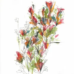 Fiori dai colori vivaci dipinti ad acquerello