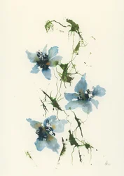 Fiori blu ad acquerello