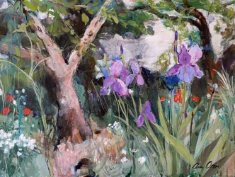 Giardino mediterraneo con iris, 2019