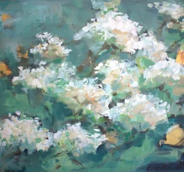 Il giardino bianco in fiore