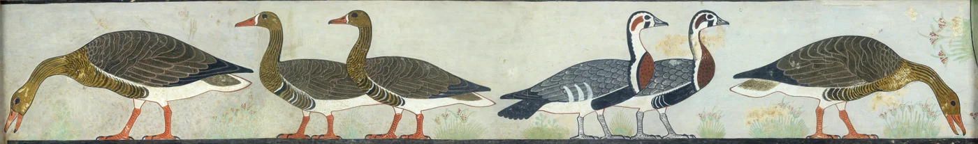 Copia di pittura murale dalla Mastaba di Itet, Medum IV, 93-94 oche, XX secolo