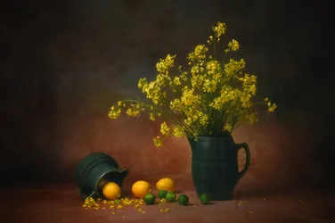 Fiori gialli e limoni