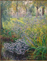 Fiori nel giardino