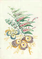 Fiori fantastici con fiori di conchiglia d