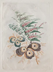 Nuova suite di portafogli di fiori ideale per il disegno e la pittura: Fantasie floreali, c. 179