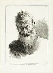 Testa dell