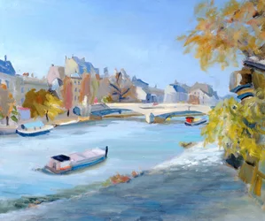 Chiatta che Naviga sul Fiume Senna a Parigi
