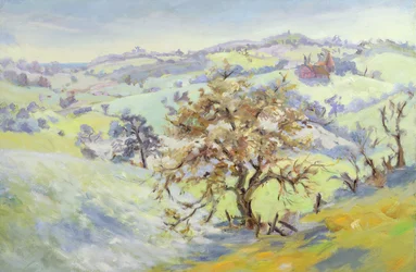 Da Udimore Verso Peasmarch, Sussex, in Inverno