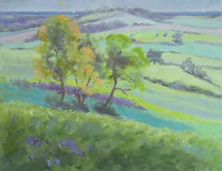 Verso Winchelsea, Sussex, con Campanule in Primavera