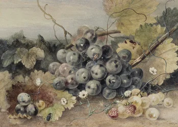 Uva e fragole