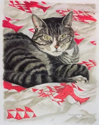 Gatto su trapunta