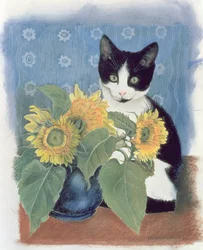 Scacchi e girasoli