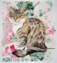 Gatto tigrato a pelo lungo