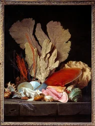 Natura morta con conchiglie. Dipinto di Anne Vallayer Coster (1744-1818) 1769