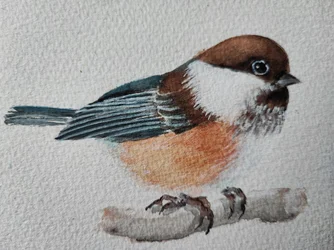 Simpatico cinciallegro appollaiato