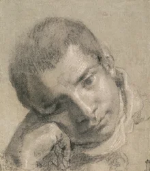 Testa di un giovane