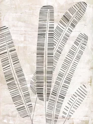 Linee botaniche astratte