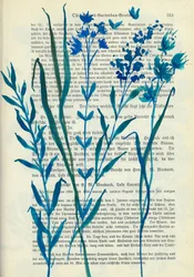 Fiori blu - Testo antico