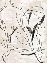Disegno botanico al tratto