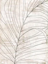 Linee botaniche minimaliste