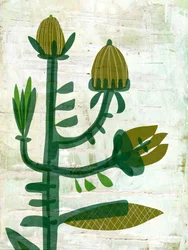 Botanica moderna e ecologica