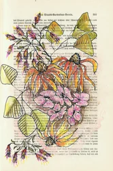 Studio botanico d