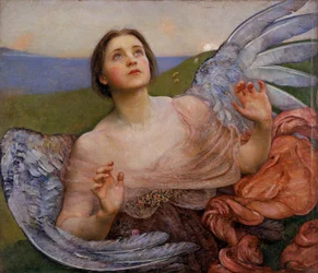 Il senso della vista