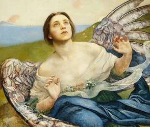 Il senso della vista