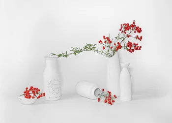 Esposizione minimalista di frutti rossi