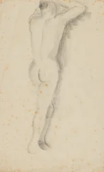 Nudo di schiena