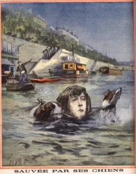 Una donna cade nella Senna e viene salvata dai suoi cani a Parigi. Incisione in "Le petit parisien" del 14/08/1910. Collezione privata