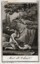 La morte di Adone. Incisione del 1819 in "Lettres a Emilie sur la mythologie" di Charles Albert Demoustier (1760-1801). Collezione privata