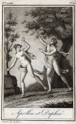 Apollo e Dafne. La ninfa Dafne si trasforma in un alloro per sfuggire ad Apollo. Incisione del 1819 in 