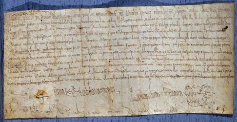 Carta del re Carlo Magno (Carlo I, Carlo il Grande o Carolus Magnus) (742-814) che esenta l