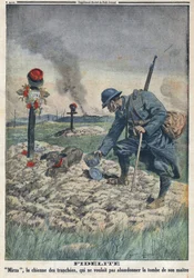Prima Guerra Mondiale 1914-1918. Un cane rifiuta di abbandonare la tomba del suo padrone morto in trincea. In "Le Petite Journal", il 10/09/1916. Collezione privata