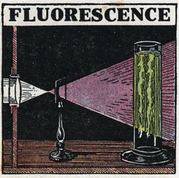 Fluorescenza: prova della fluorescenza dei corpi. Illustrazione anonima del 1925. Collezione privata.